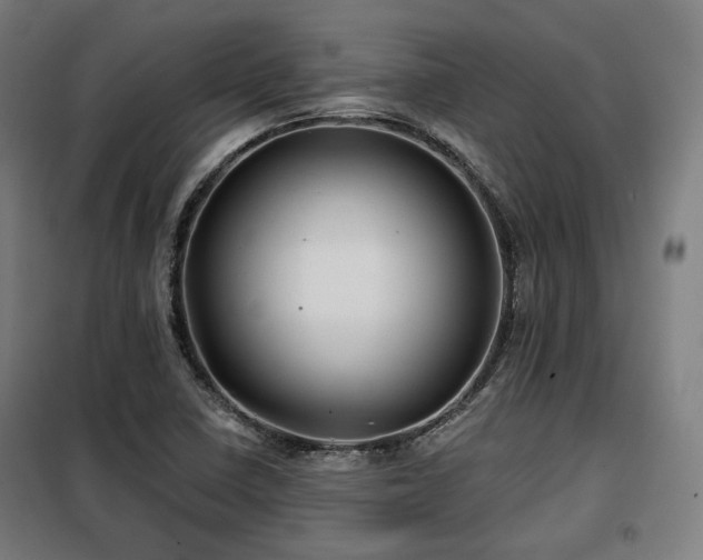 X0000098111410200804041333