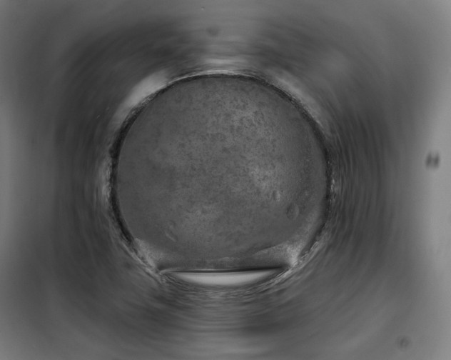 X0000098111411200804041333
