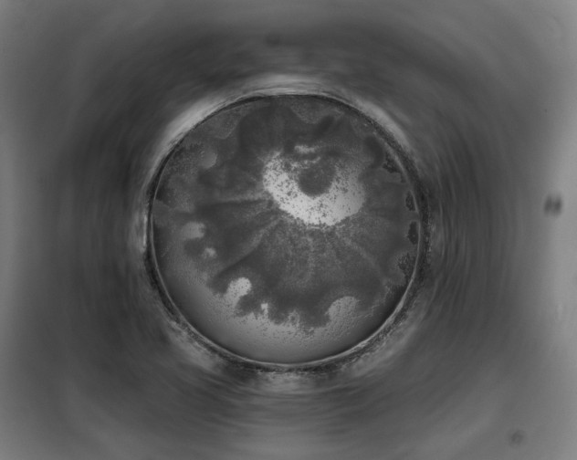 X0000098111413200804041333