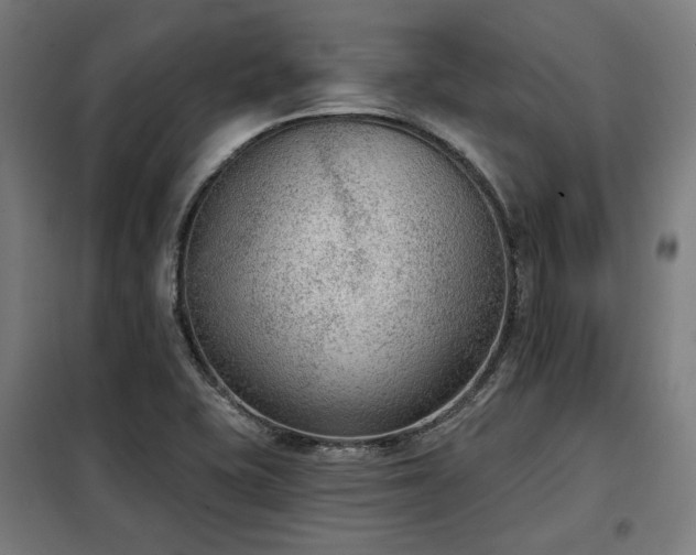 X0000098111415200804041333