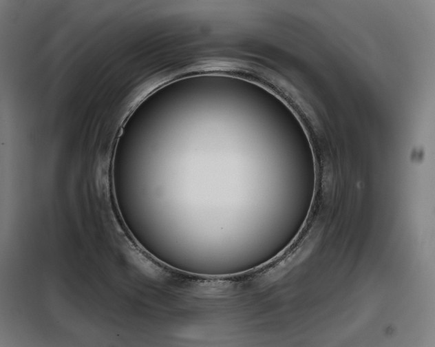 X0000098111417200804041333