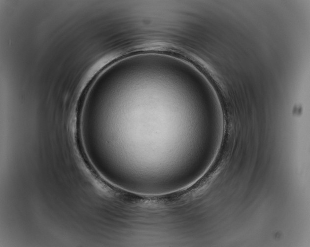 X0000098111418200804041333