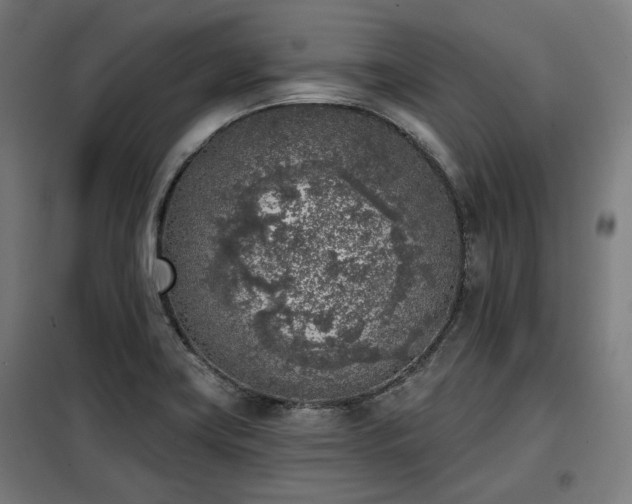 X0000098111419200804041333
