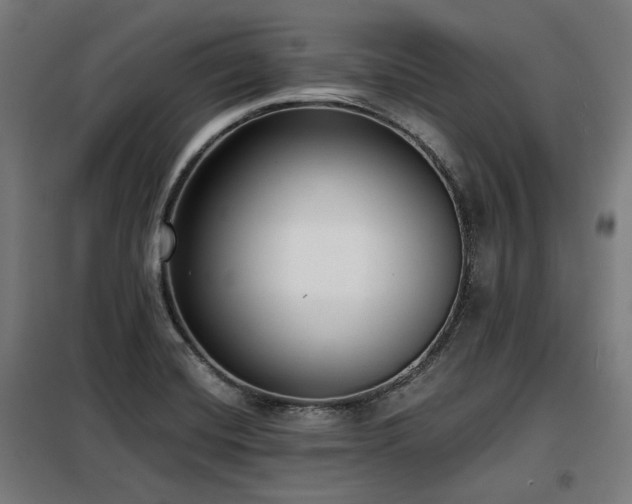 X0000098111420200804041333