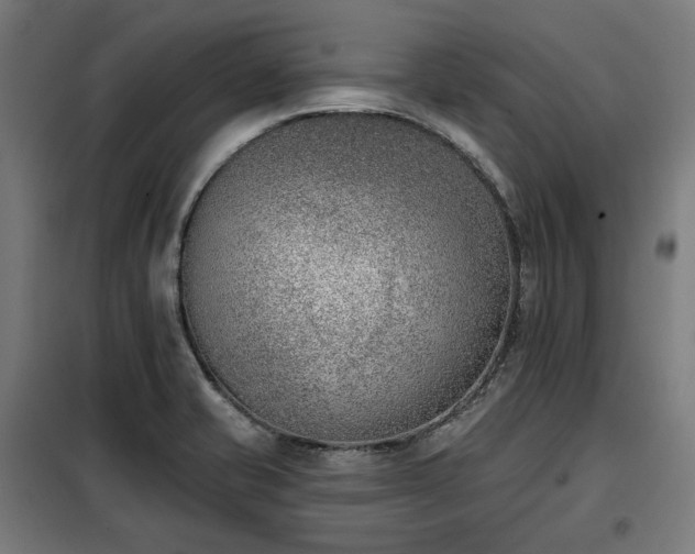 X0000098111421200804041333