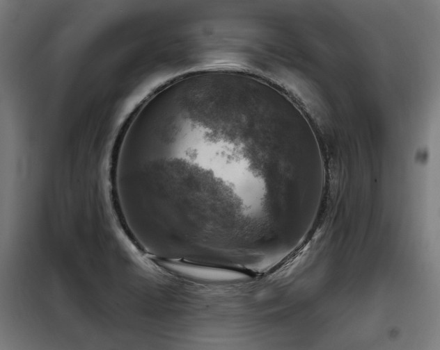 X0000098111422200804041333