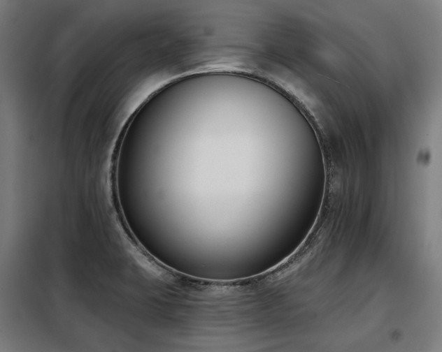 X0000098111423200804041333