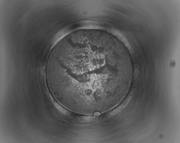 X0000098111425200804041333