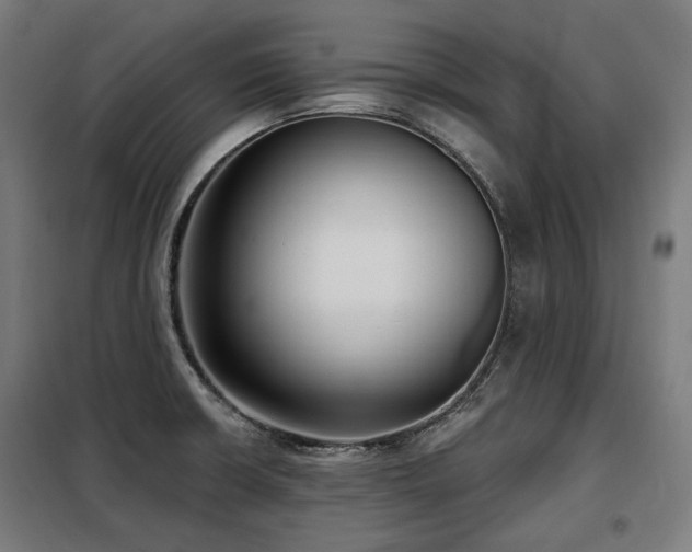 X0000098111426200804041333