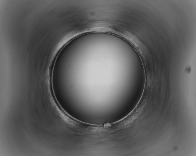 X0000098111430200804041333