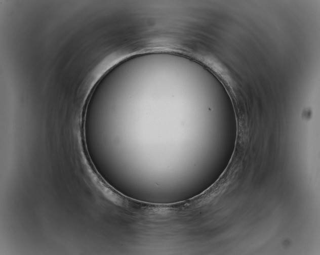X0000098111431200804041333