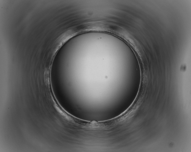 X0000098111433200804041333