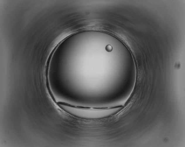 X0000098111434200804041333
