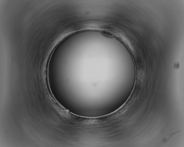 X0000098111435200804041333