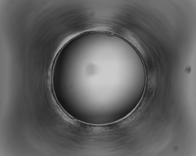 X0000098111436200804041333