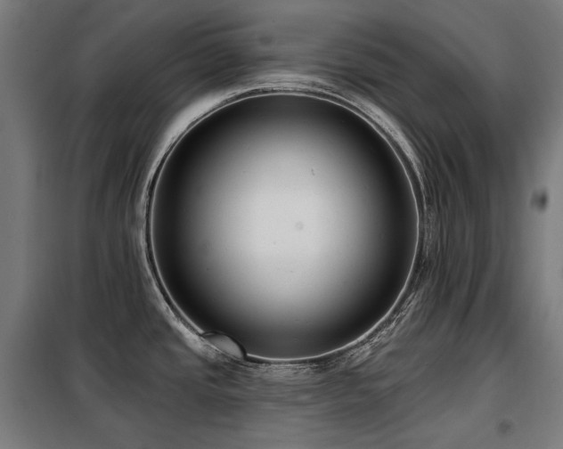 X0000098111437200804041333