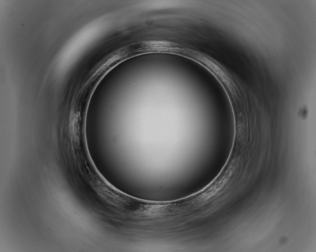 X0000098111438200804041333