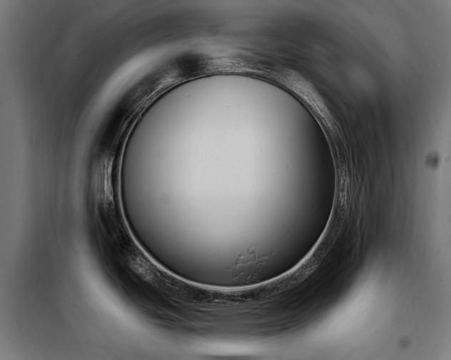 X0000098111439200804041333