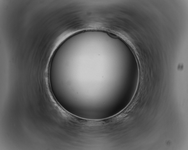 X0000098111440200804041333