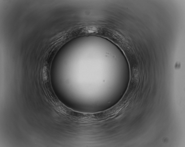 X0000098111442200804041333