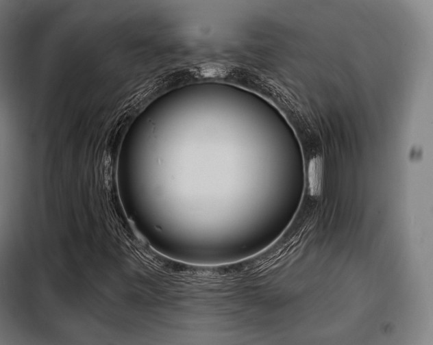 X0000098111443200804041333