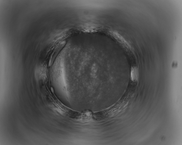 X0000098111444200804041333