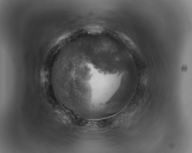 X0000098111445200804041333