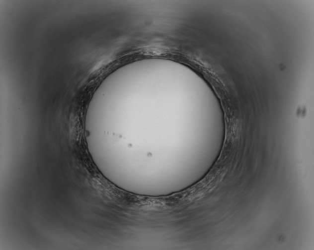 X0000098111446200804041333