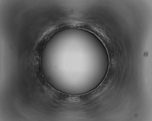 X0000098111447200804041332