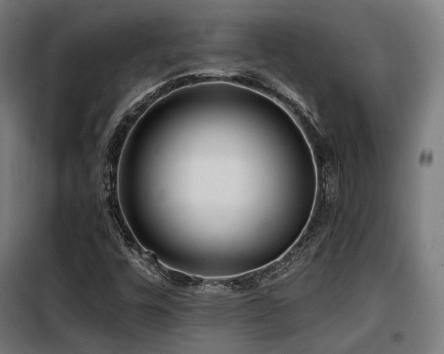 X0000098111448200804041332