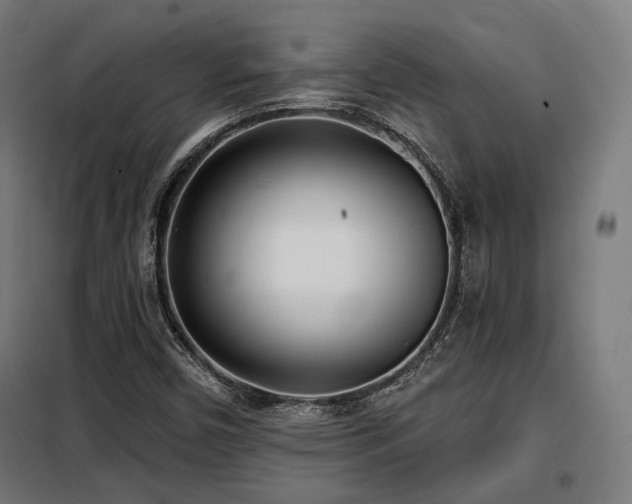 X0000098111450200804041332