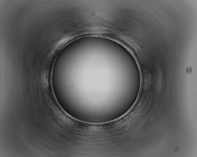 X0000098111451200804041332