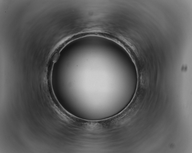 X0000098111452200804041332