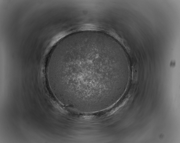X0000098111453200804041332