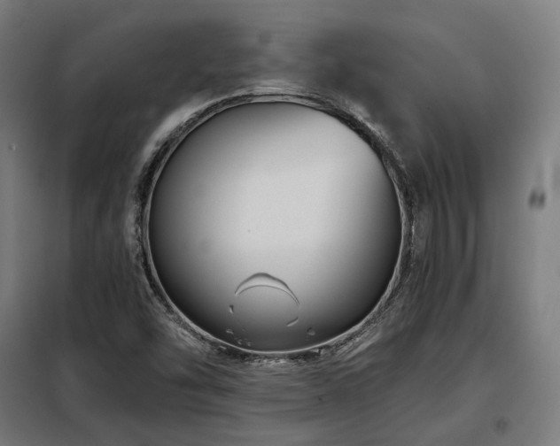 X0000098111454200804041332