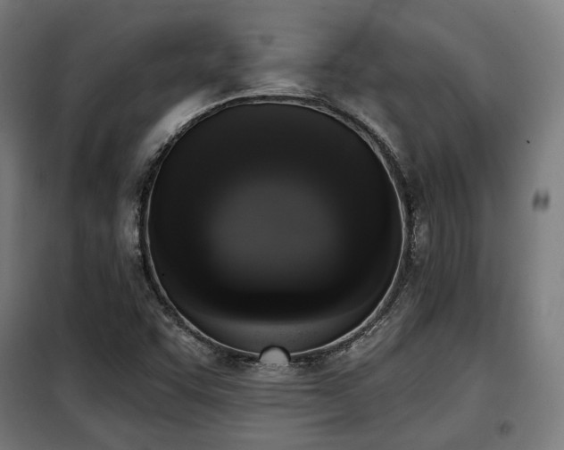 X0000098111455200804041332