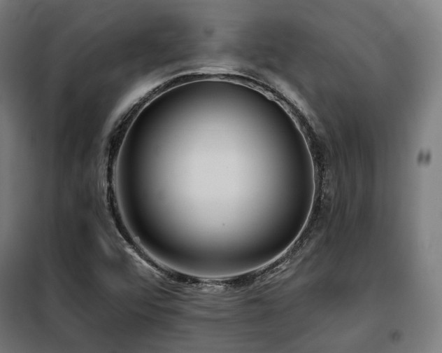 X0000098111456200804041332