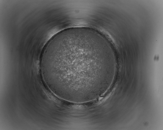 X0000098111457200804041332