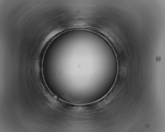 X0000098111458200804041332