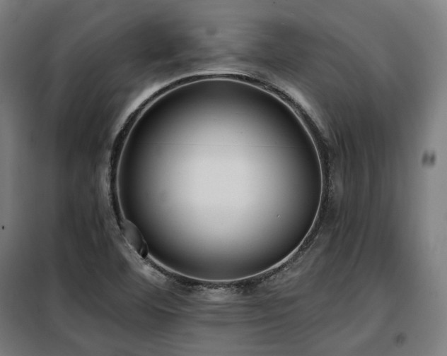 X0000098111460200804041332