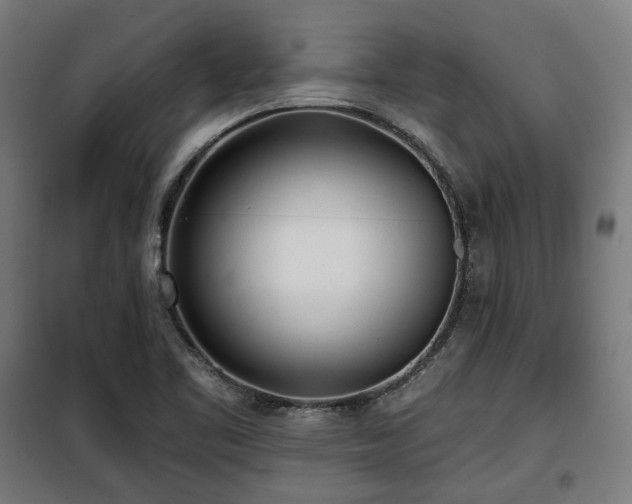 X0000098111461200804041332