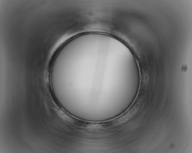 X0000098111462200804041332