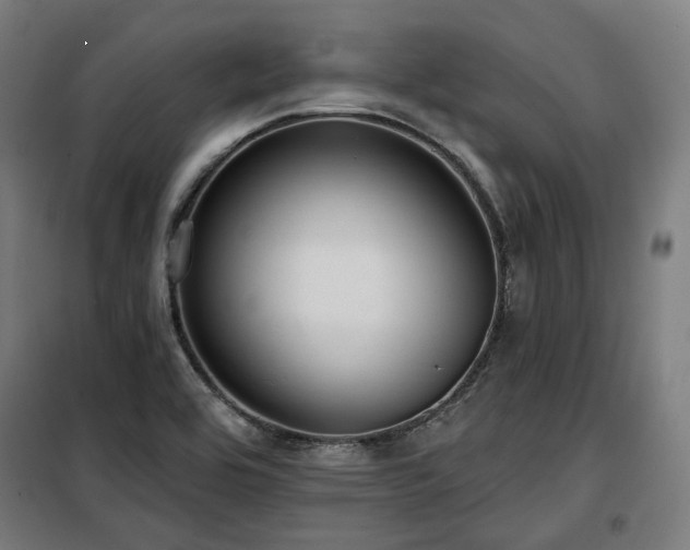 X0000098111464200804041332
