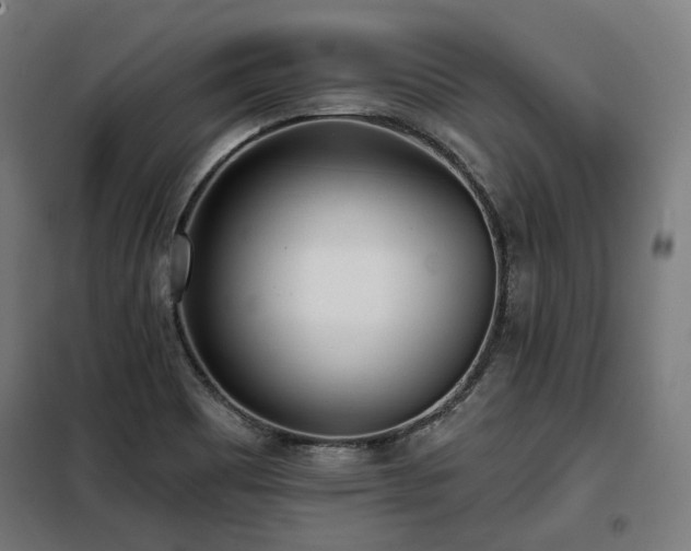 X0000098111465200804041332