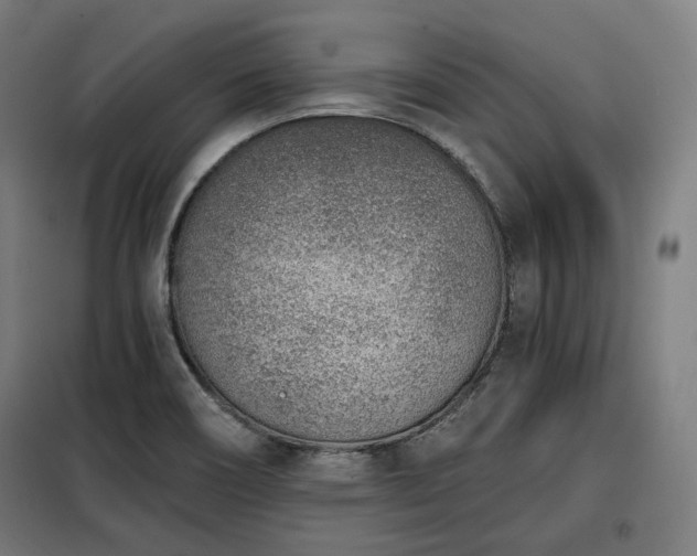 X0000098111466200804041332