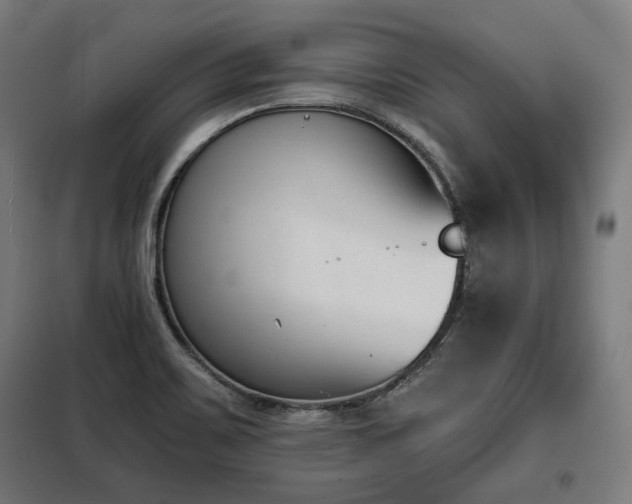 X0000098111467200804041332