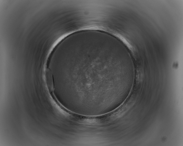 X0000098111468200804041332