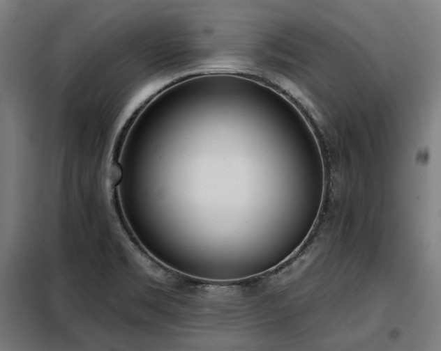 X0000098111469200804041332