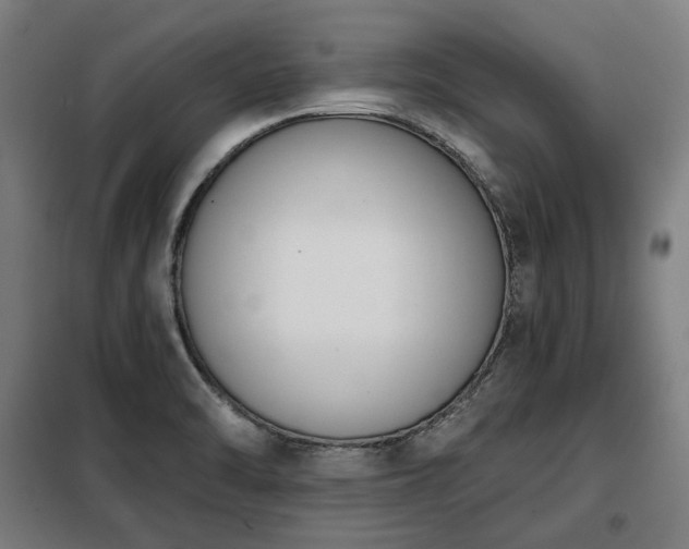 X0000098111470200804041332