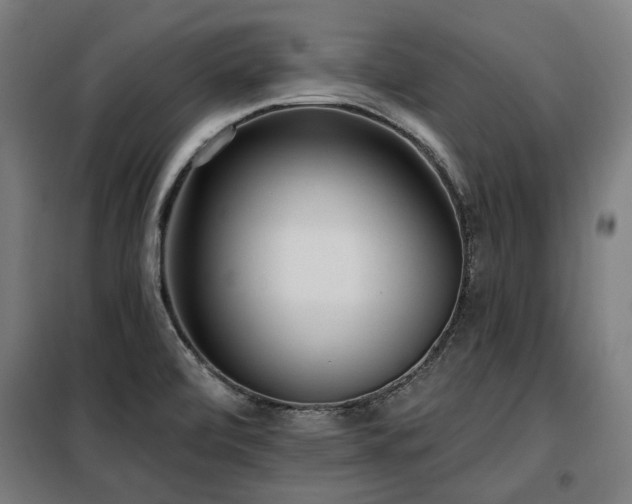 X0000098111472200804041332